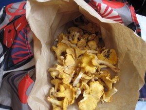 food-chanterelles 017
